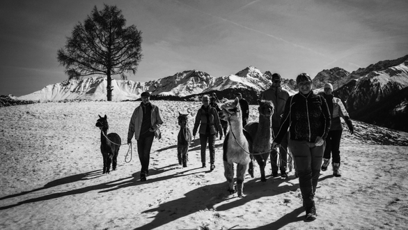 Panoramatour Beutelkopf