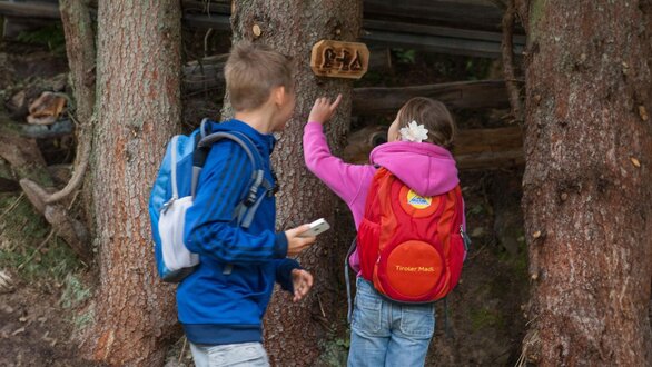 Bären Cache