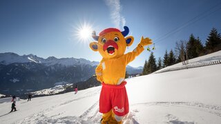 Bertas Sicherheitsquiz