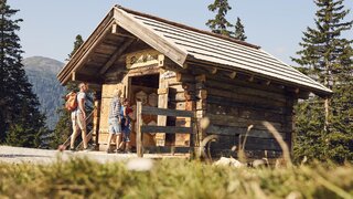 Bienenhaus Sommer