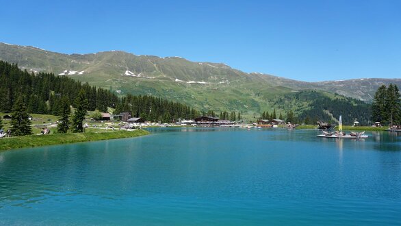 Högsee