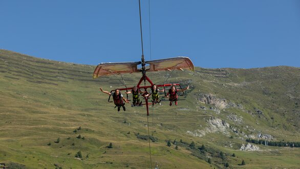 Fisser Flieger in Sommer