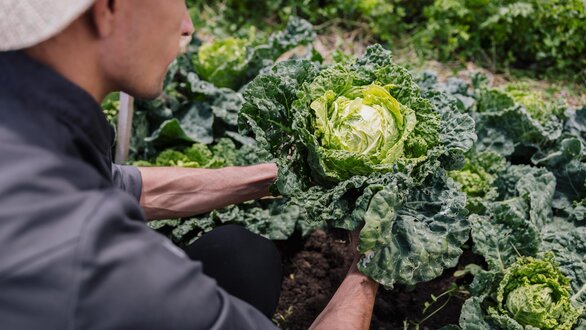 (C)Fabian-Schirgi__W3A3450_Web