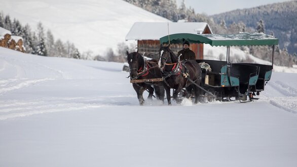 Horse-drawn carriage
