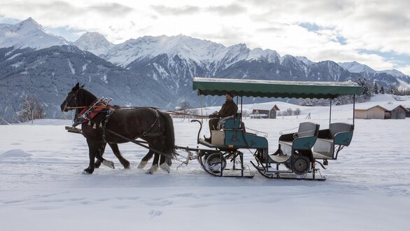 Carriage ride