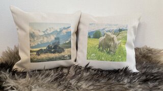 Pillow